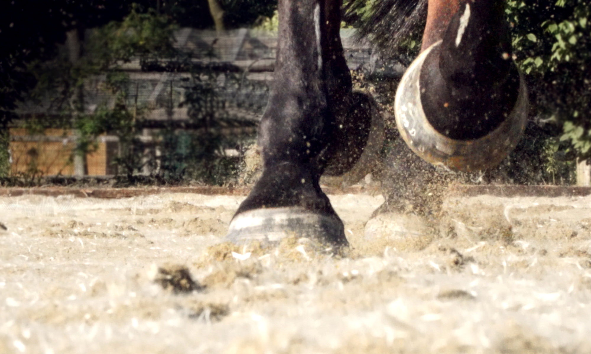 Equus Technology